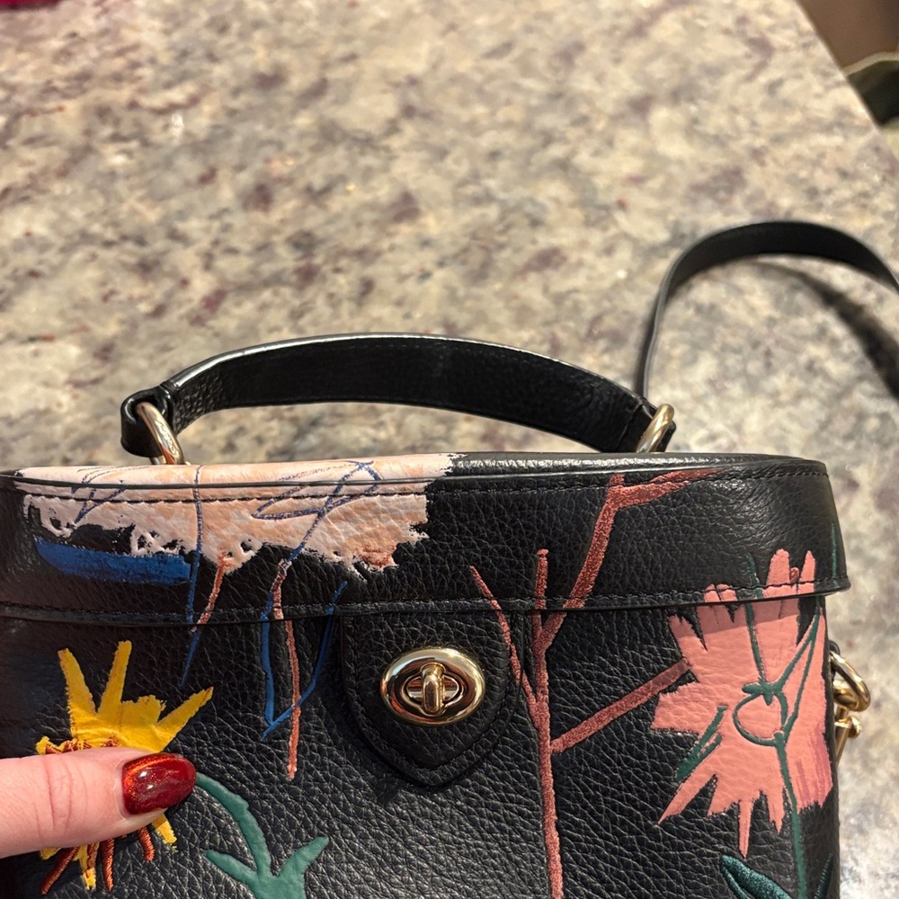 Basquiat Coach Black Crossbody Bag with Vibrant Floral Pattern - Picture 3 of 12